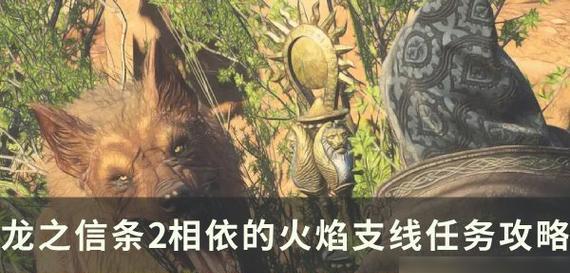 突破常规（从个性化到品牌化）