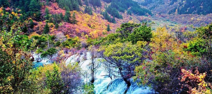 千秋万代家婚嫁系统指南（探索游戏中独特的婚嫁玩法）