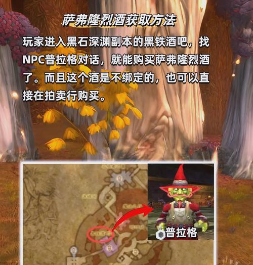 魔兽世界中雪地小酒儿的打法是什么？有哪些技巧？