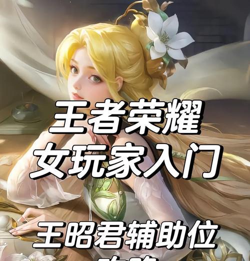 魔域怎么洗王昭君装备啊？洗练技巧有哪些？