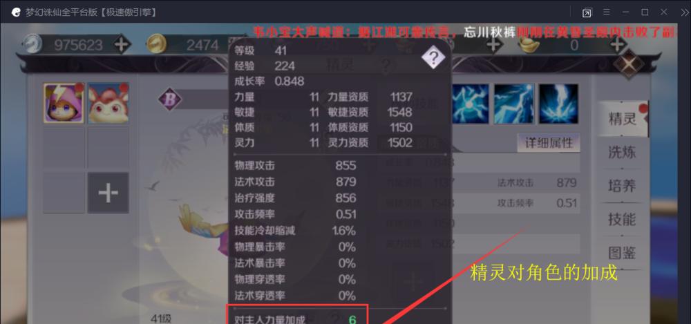 完美世界中如何缩小名字显示？有哪些设置选项？