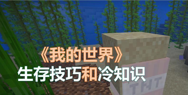 我的世界最新潜行技巧是什么？