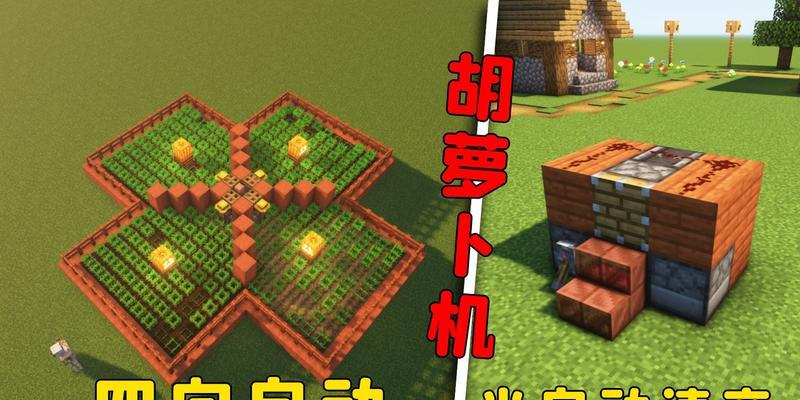 在《我的世界》中如何种植胡萝卜？