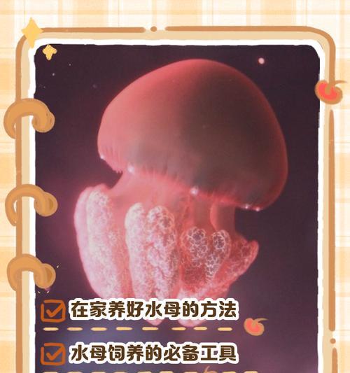我的世界中水母如何饲养？需要哪些条件？