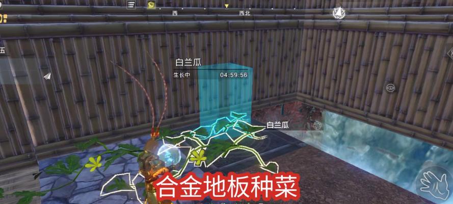 妄想山海生活技能，你能学到哪些（游戏中的生活技能大揭秘）