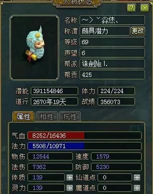 问道属性不足时如何选择装备？装备搭配有哪些技巧？