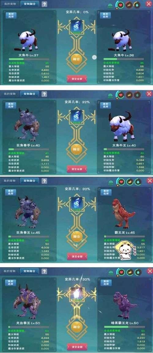探秘魔法世界中的龙血拳王（创造你的龙血拳王）